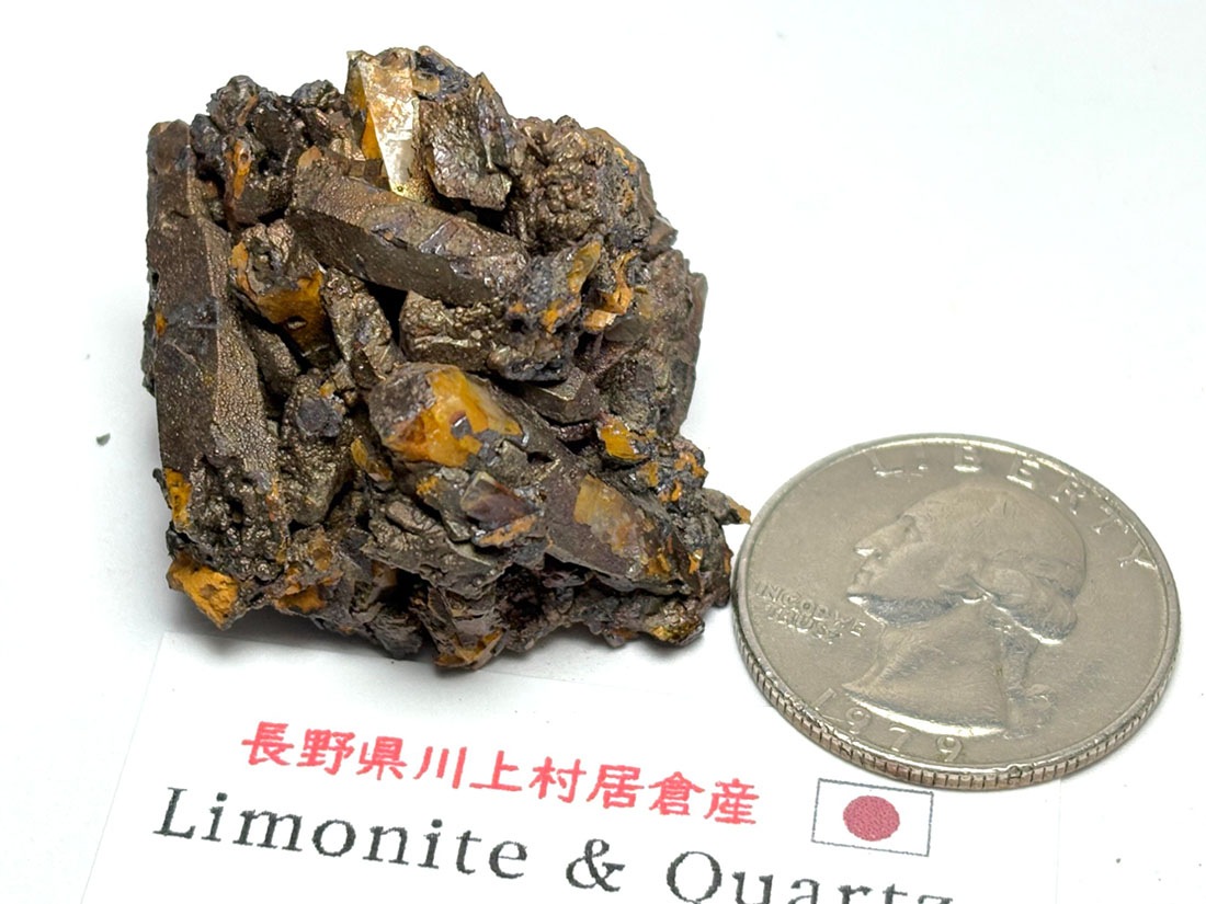 長野県川上村居倉産 褐鉄鉱 & 水晶 / Limonite & Quartz