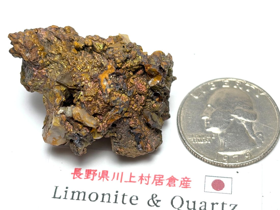 長野県川上村居倉産 褐鉄鉱 & 水晶 / Limonite & Quartz