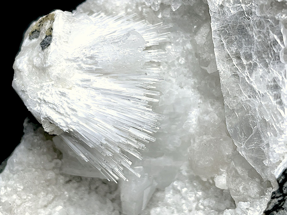 インド産スコレサイト (ジプサム 共生)