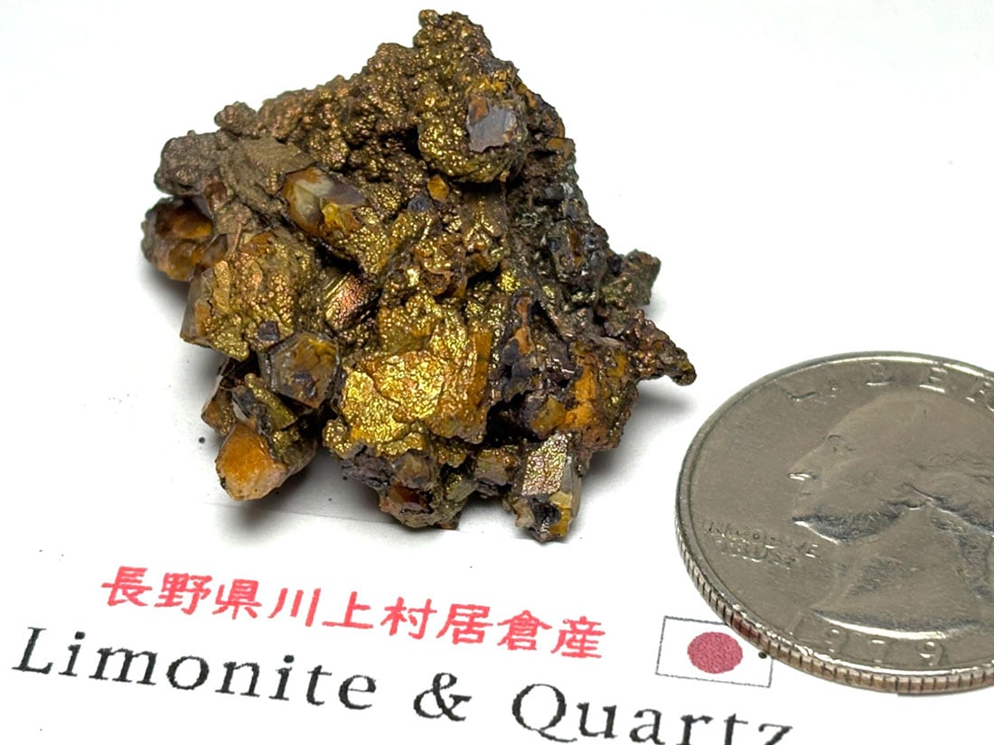 長野県川上村居倉産 褐鉄鉱 & 水晶 / Limonite & Quartz