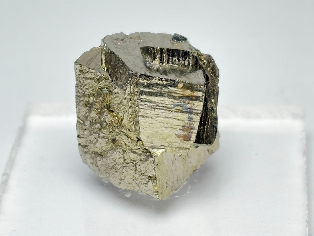 新潟県飯豊鉱山産 パイライト ( 黄鉄鉱 ) /Pyrite