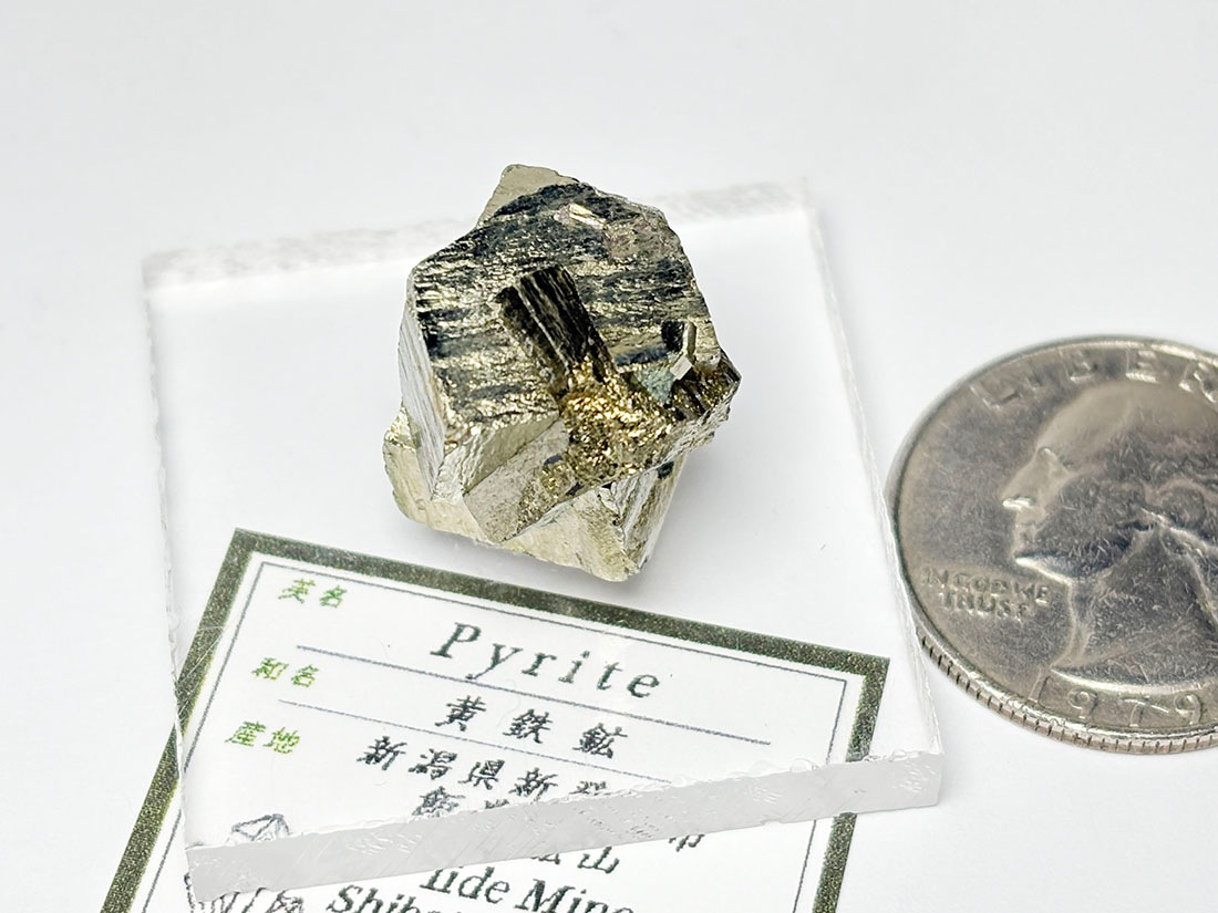 新潟県飯豊鉱山産 パイライト ( 黄鉄鉱 ) /Pyrite