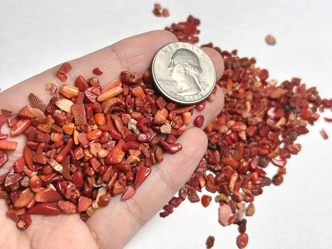 レッドコーラル さざれ 200g アソート