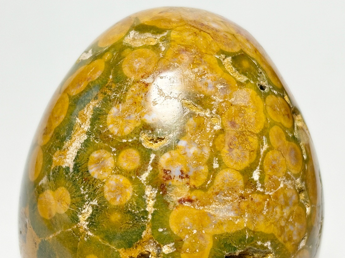 マダガスカル産 オーシャンジャスパー エッグ ( 碧玉 )/ Ocean Jasper Egg