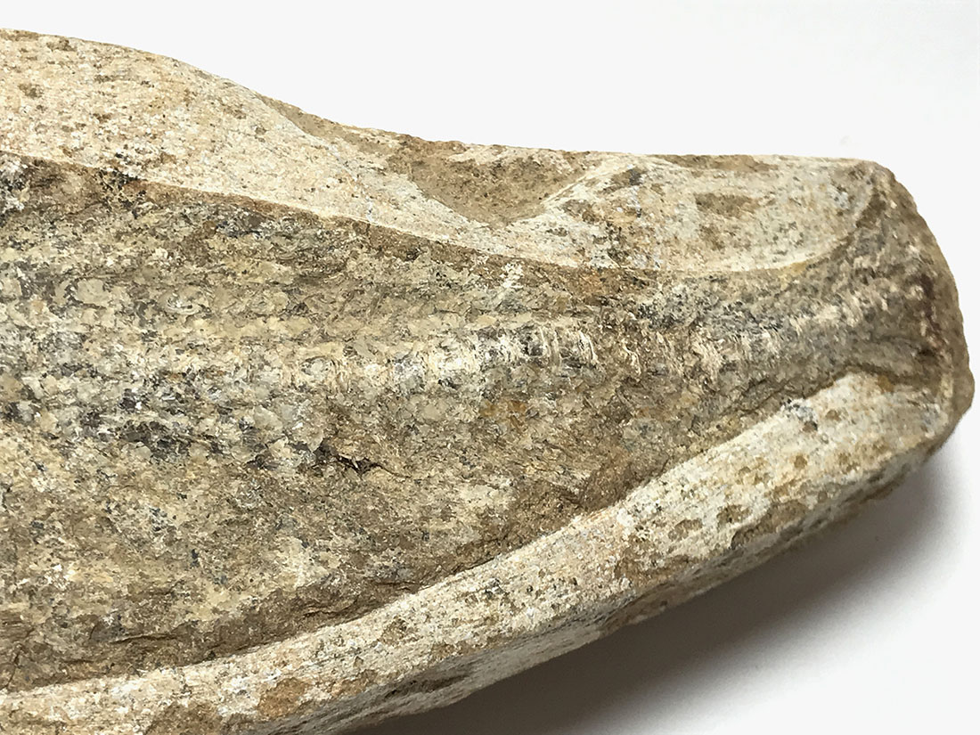 ラコレピス　ブラジル　古代魚　化石　518g ブラジル産 古代魚(ラコレピス) 化石