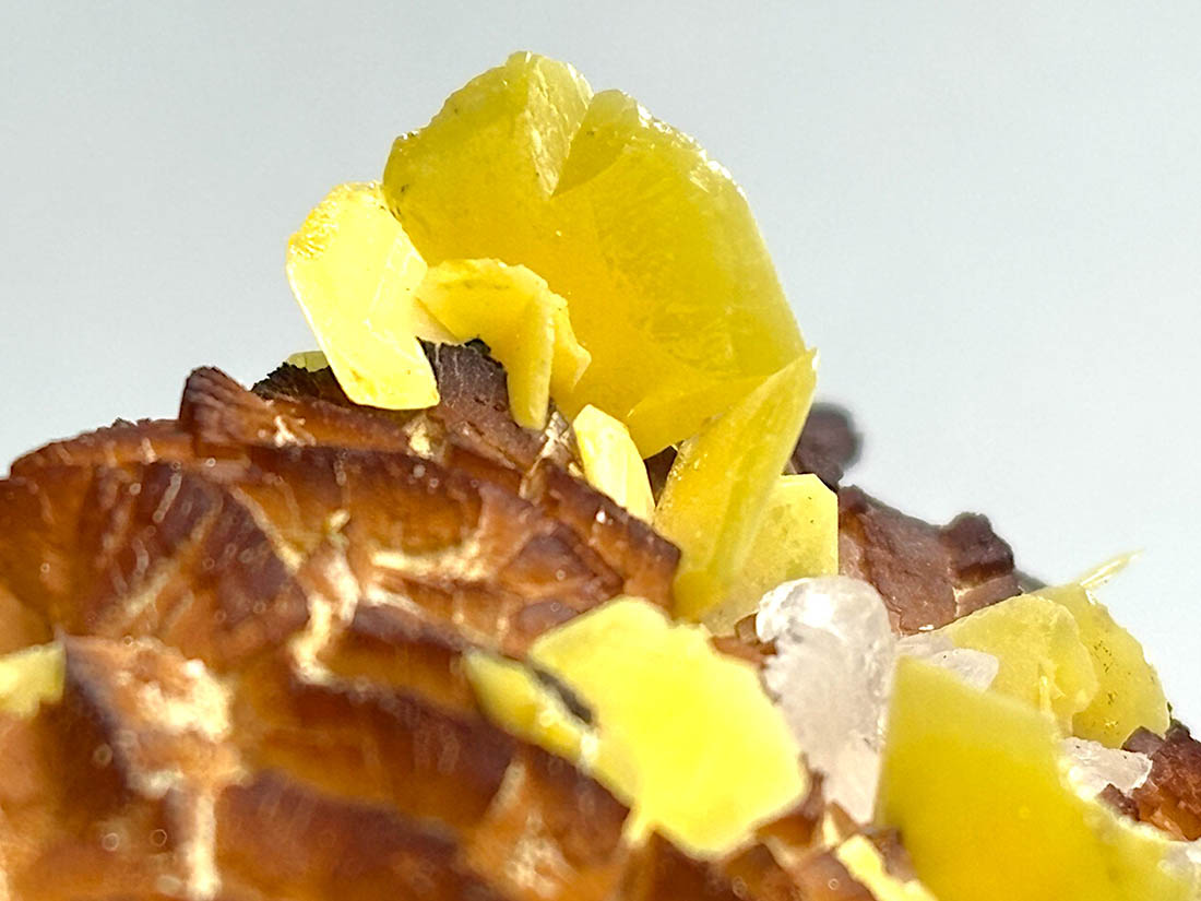 モロッコ・トゥイシット鉱山産 ウルフェナイト ( モリブデン鉛鉱