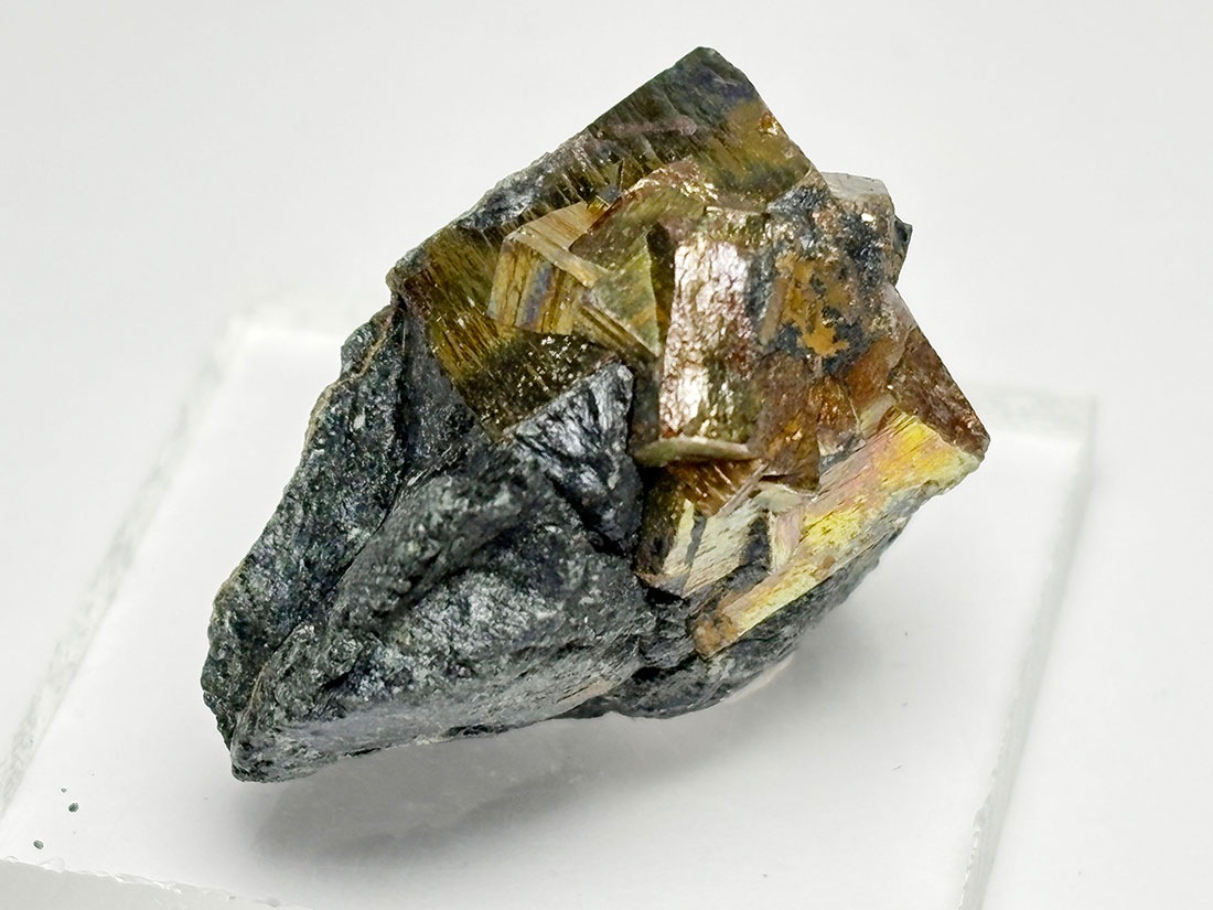 新潟県飯豊鉱山産 パイライト ( 黄鉄鉱 ) /Pyrite