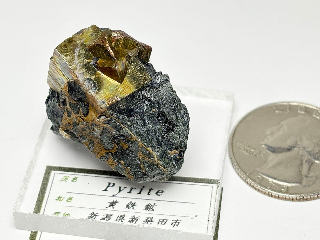 新潟県飯豊鉱山産 パイライト ( 黄鉄鉱 ) /Pyrite