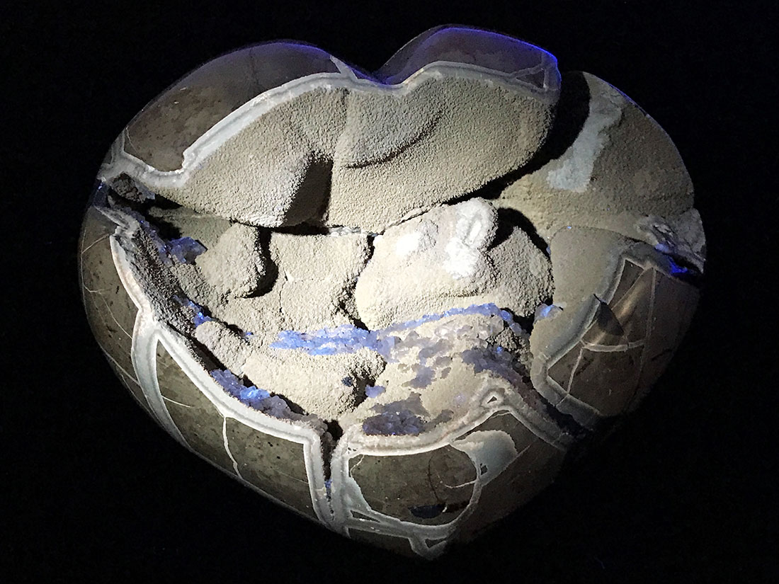 マダガスカル産セプタリアン ハート/Septarian