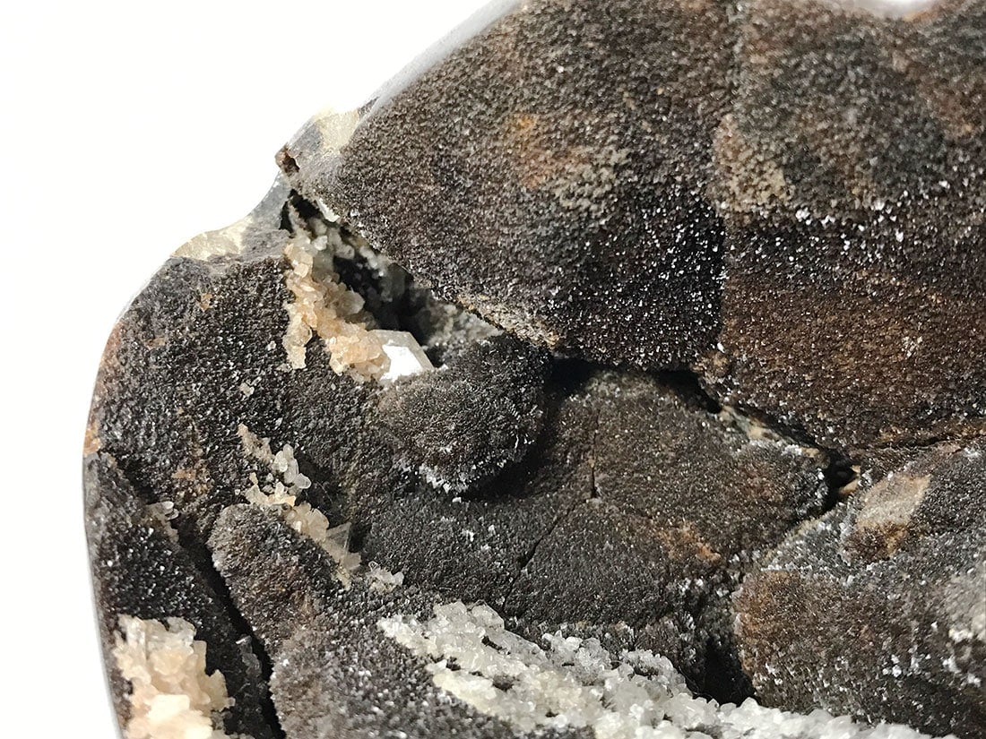 マダガスカル産セプタリアン ハート/Septarian