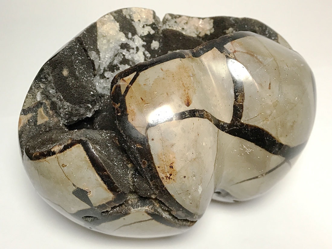 マダガスカル産セプタリアン ハート/Septarian