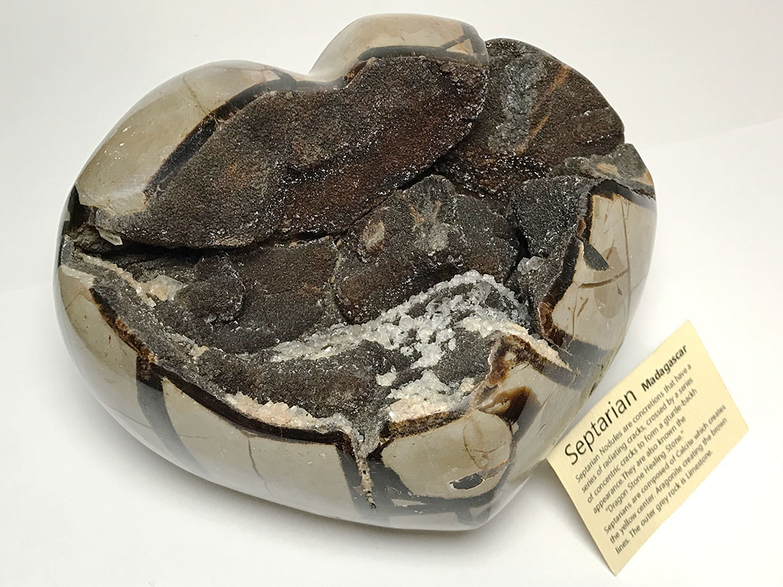 マダガスカル産　セプタリアン マダガスカル産セプタリアン(亀甲石)/Septarian