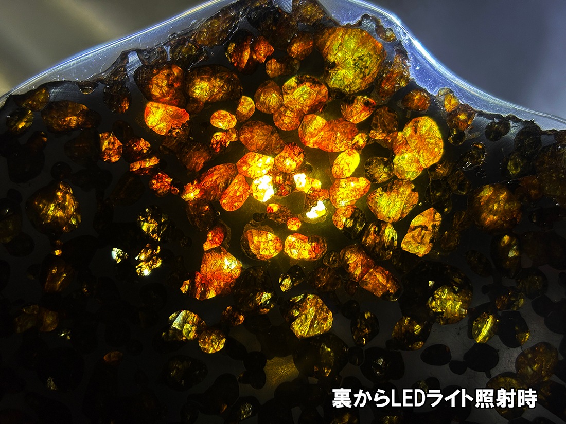 ケニア産 セリコパラサイト隕石 特大 / Sericho Pallasite Meteorite