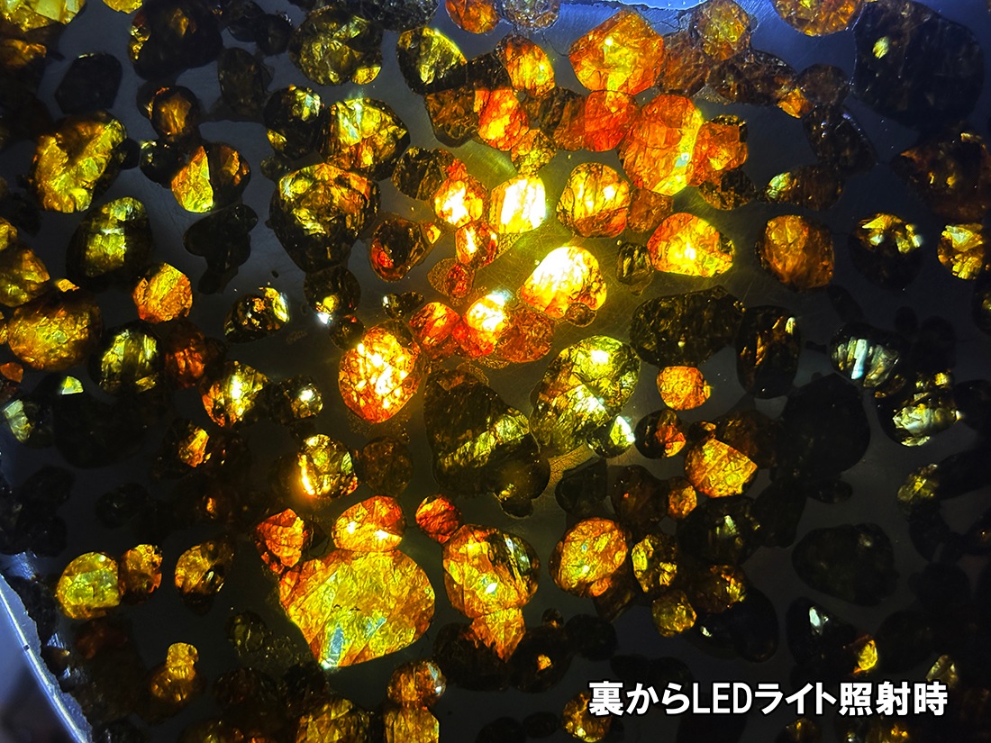 ケニア産 セリコパラサイト隕石 特大 / Sericho Pallasite Meteorite