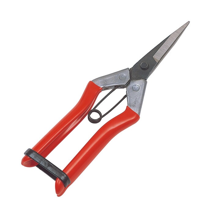 大福 芽切鋏 ガーデニング 園芸 農具 農業 工具 道具 金星 キンボシ