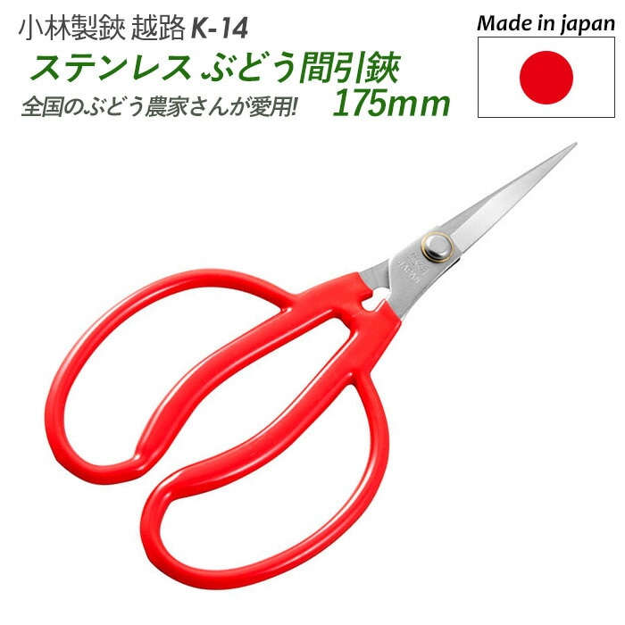 【メール便】【ステンレスぶどう間引鋏 175mm（K-14）】 越路 ガーデニング用品 園芸用品 園芸鋏 ハサミ 庭園 軽量鋏 女性用 軽い 収穫 農業 摘花 採果 摘果 ガーデン 小林製鋏