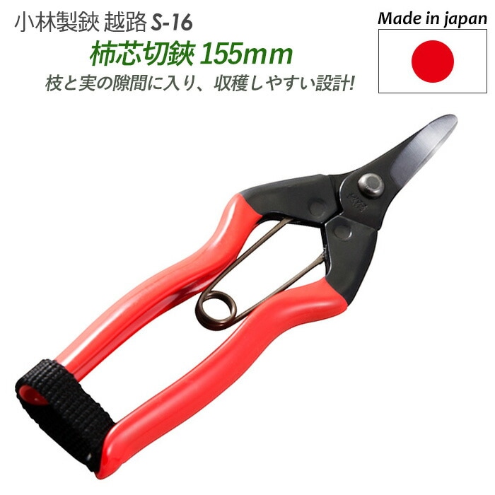 【柿芯切鋏 155mm（S-16）】 越路 ガーデニング用品 園芸用品 園芸鋏 ハサミ 庭園 軽量鋏 女性用 軽い 収穫 農業 摘花 採果 摘果 ガーデン 小林製鋏