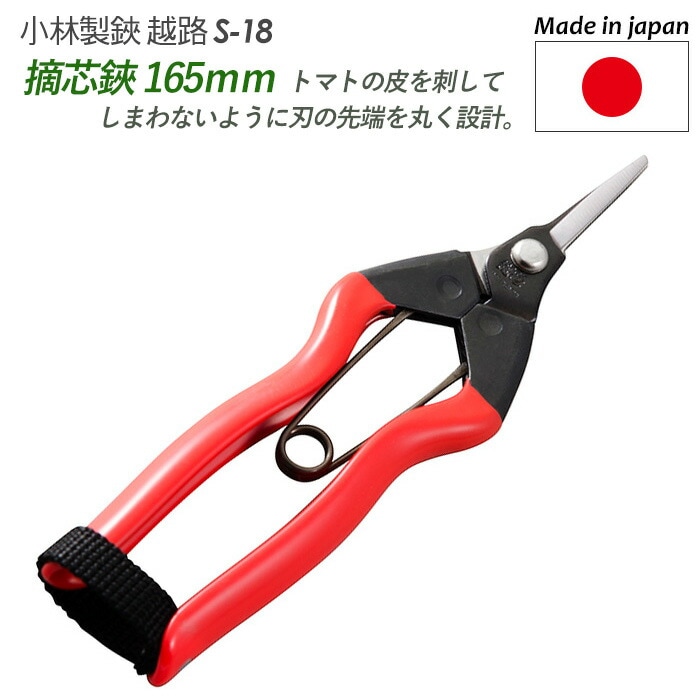 【摘芯鋏 165mm（S-18）】 越路 ガーデニング用品 園芸用品 園芸鋏 ハサミ 庭園 軽量鋏 女性用 軽い 収穫 農業 摘花 採果 摘果 ガーデン 小林製鋏