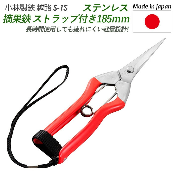 【ステンレス摘果鋏ストラップ付 185mm】 越路 ガーデニング用品 園芸用品 園芸鋏 ハサミ 庭園 軽量鋏 女性用 軽い 収穫 農業 摘花 採果 摘果 ガーデン 小林製鋏