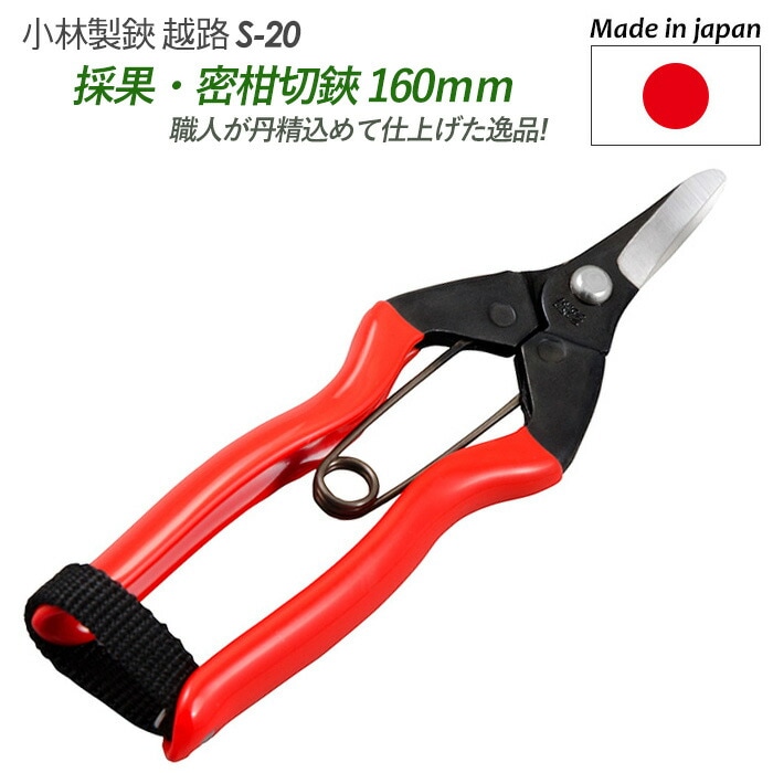 【採果・蜜柑切鋏 160mm（S-20）】 越路 ガーデニング用品 園芸用品 園芸鋏 ハサミ 庭園 軽量鋏 女性用 軽い 収穫 農業 摘花 採果 摘果 ガーデン 小林製鋏