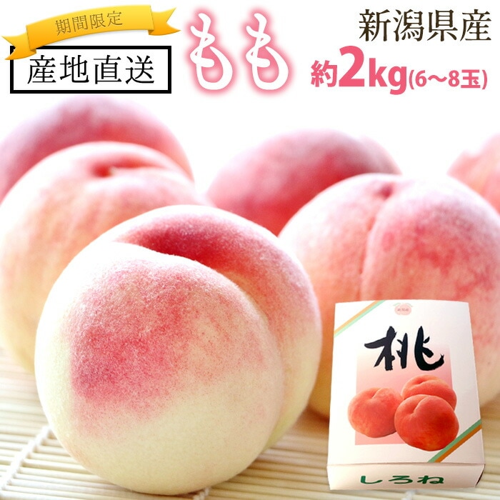 【夏季限定】 桃 約2kg（6～8玉） 白桃 もも 贈答用 自宅用 ◎熨斗対応可 新潟県 新潟産 新潟県産 産地直送 農家直送 送料無料 果物 フルーツ お中元 期間限定 ギフト プレゼント 笠原農園