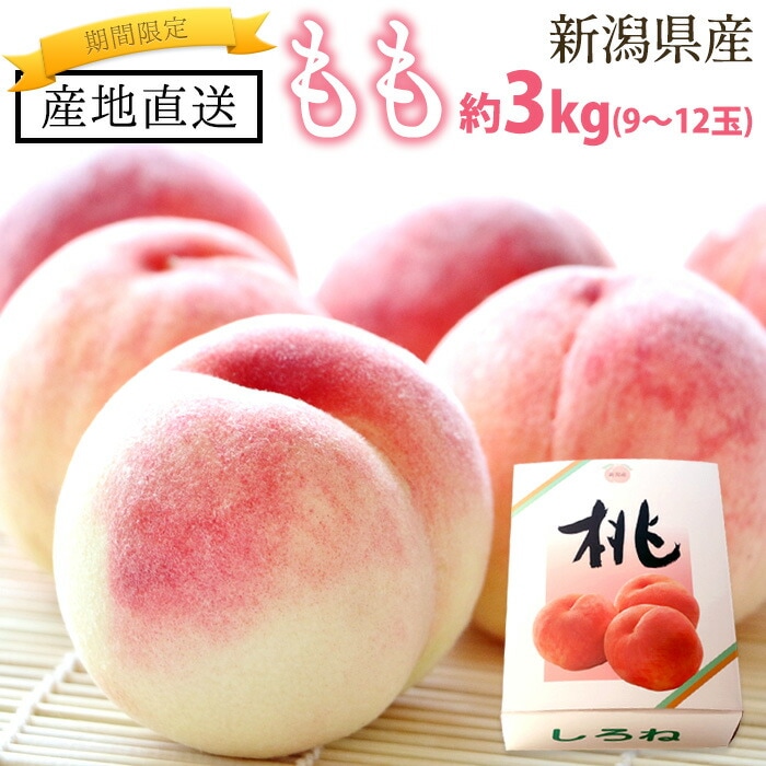 【夏季限定】 桃 約3kg（9～12玉） 白桃 もも 贈答用 自宅用 ◎熨斗対応可 新潟県 新潟産 新潟県産 産地直送 農家直送 送料無料 果物 フルーツ お中元 期間限定 ギフト プレゼント 笠原農園