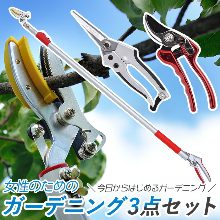 【レディース園芸3点セット】 3段伸縮式高枝切鋏 芽切鋏 中 剪定鋏 小 高枝切りバサミ 超軽量 伸縮 はさみ ガーデニング用品 枝切 ハサミ 園芸用品 庭園 軽量鋏 女性用 軽い 摘花 高枝切りばさみ