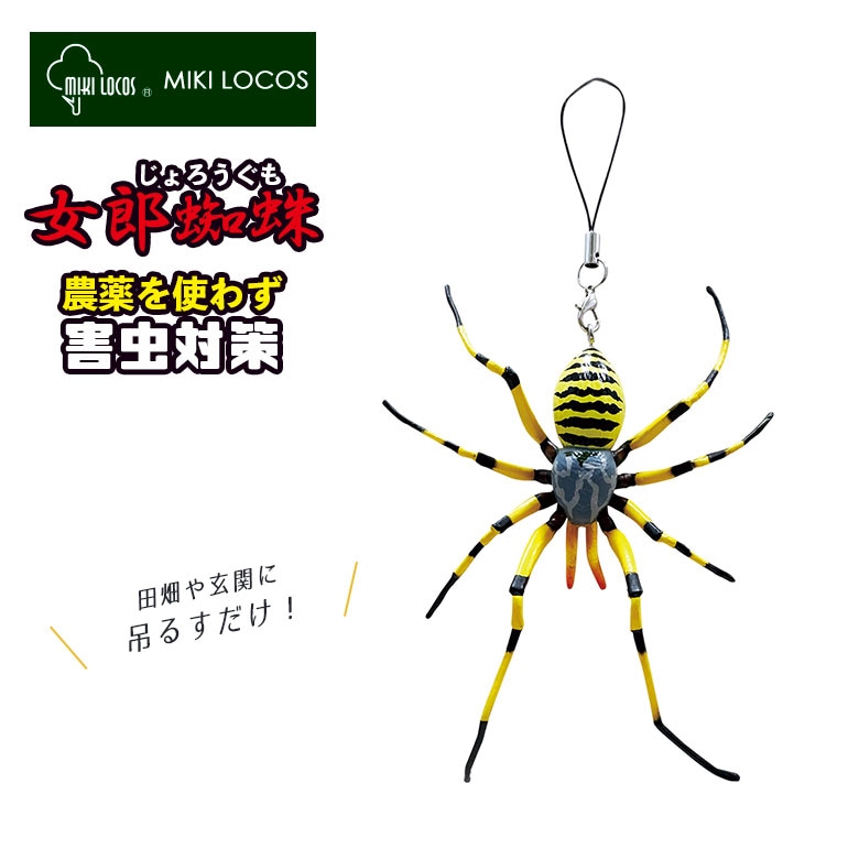 女郎蜘蛛 除労蜘蛛 M-46 害虫 田んぼ 畑 玄関 倉庫 ビニールハウス 吊るす 吊るすタイプ 吊り下げ ぶら下げ クモの巣 ガ アブラムシ ブヨ ブヨに効く カメムシ グッズ 雑貨 キャンプ 携帯 外 屋外 対策 ヒマサ金物
