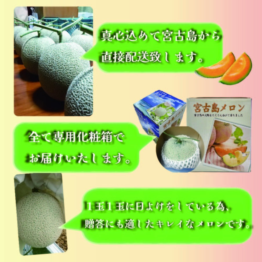 バビンダム様♡専用 本日まで! ♡ミシュラン君 様専用♡ バビンダム様♡専用 本日まで! ♡ミシュラン君 様専用♡