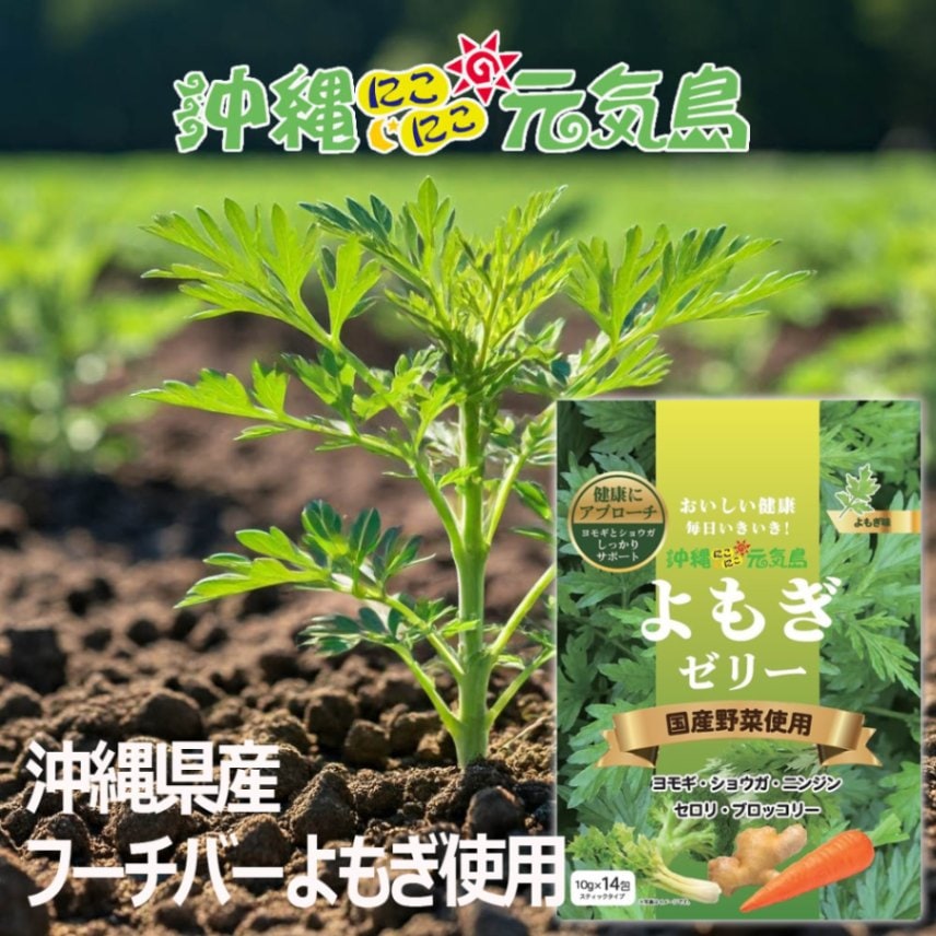 ハーブ　沖縄　ハママーチ・琉球よもぎ・健康・野菜・薬味・山野草・植物 ハーブ 沖縄 ハママーチ・琉球よもぎ・健康・野菜・薬味・山野草・植物