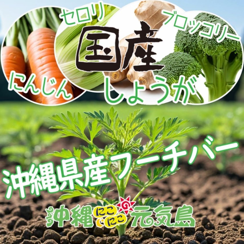 沖縄県産100％よもぎ（フーチバー） 琉球よもぎ粒 サプリ無農薬 国産