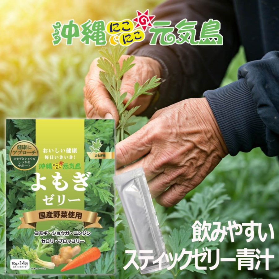沖縄県産100％よもぎ（フーチバー） 琉球よもぎ粒 サプリ無農薬 国産