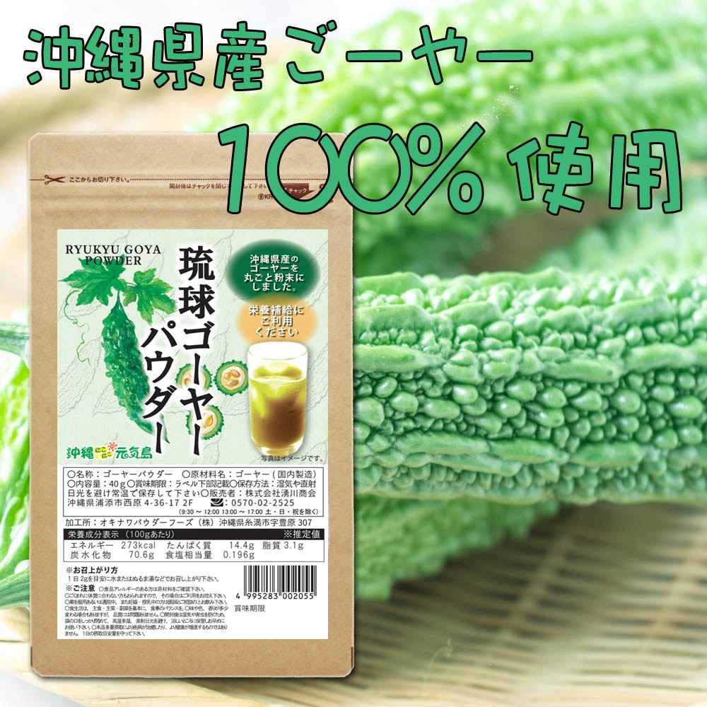 琉球ゴーヤーパウダー40g 沖縄県産ゴーヤー粉末 国産 無添加 苦瓜