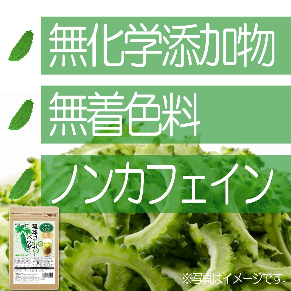琉球ゴーヤーパウダー40g 沖縄県産ゴーヤー粉末 国産 無添加 苦瓜