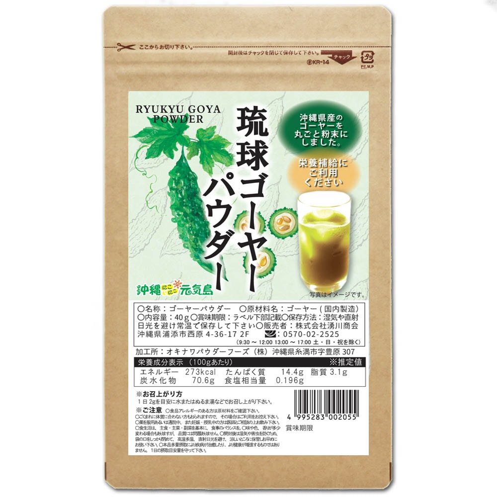 琉球ゴーヤーパウダー40g 沖縄県産ゴーヤー粉末 国産 無添加 苦瓜