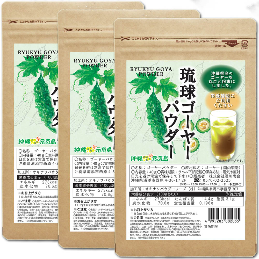 琉球ゴーヤーパウダー40g 沖縄県産ゴーヤー粉末 国産 無添加 苦瓜