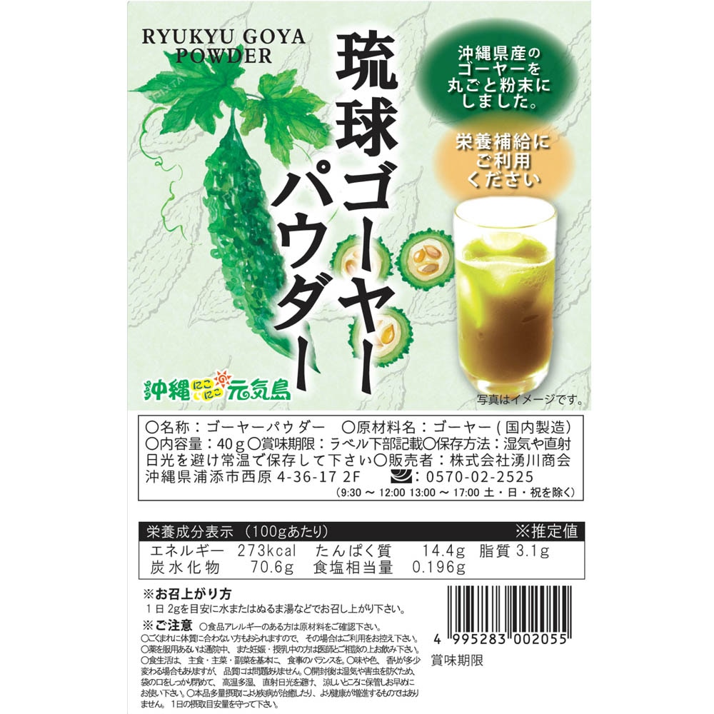 琉球ゴーヤーパウダー40g 沖縄県産ゴーヤー粉末 国産 無添加 苦瓜