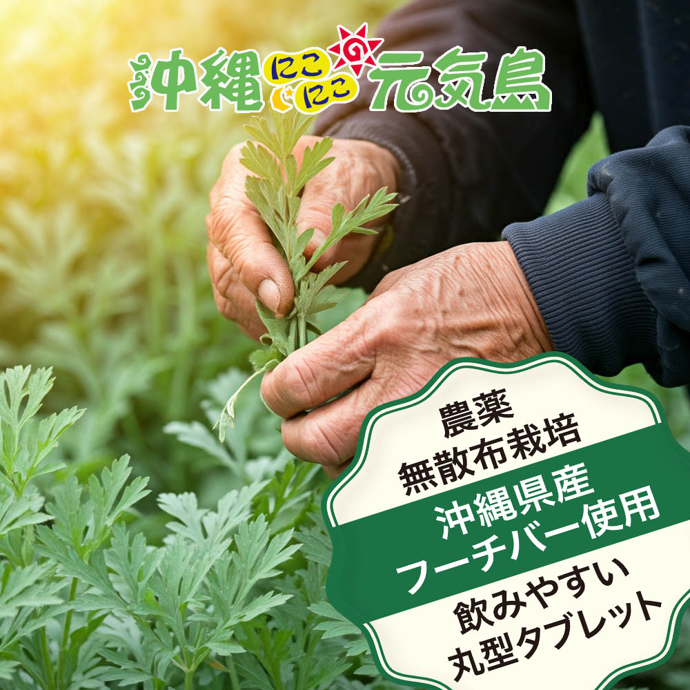 沖縄県産 フーチバー入り 琉球 ヨモギ 粒 (60粒＝約1か月分) よもぎ 琉球ヨモギ サプリメント