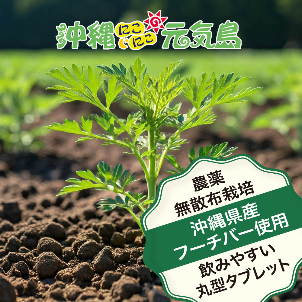 沖縄県産 フーチバー入り 琉球 ヨモギ 粒 (60粒＝約1か月分) よもぎ 琉球ヨモギ サプリメント