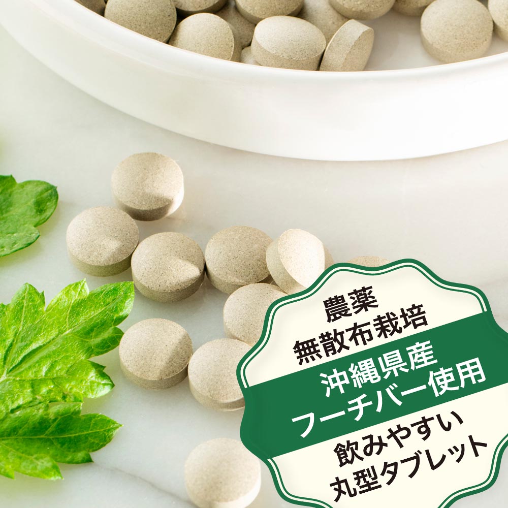 沖縄県産 フーチバー入り 琉球 ヨモギ 粒 (60粒＝約1か月分) よもぎ 琉球ヨモギ サプリメント