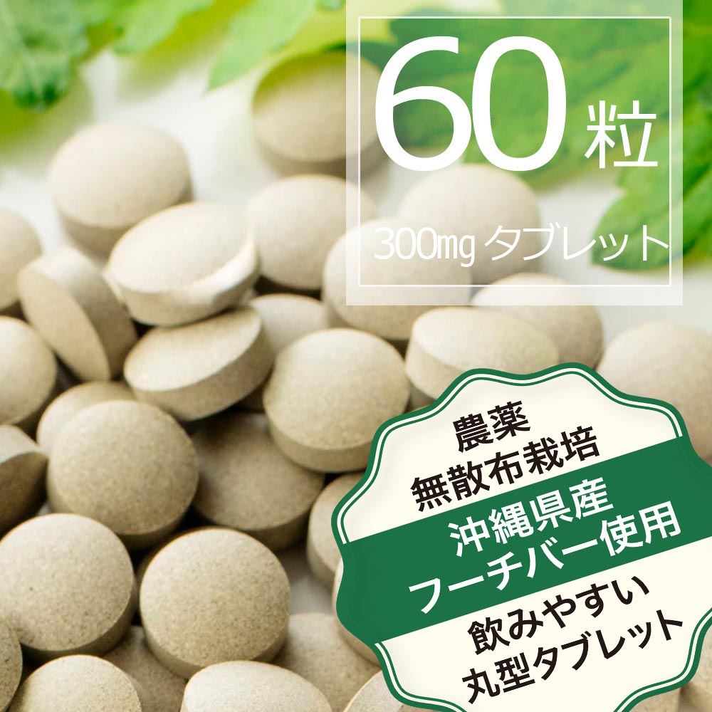 沖縄県産 フーチバー入り 琉球 ヨモギ 粒 (60粒＝約1か月分) よもぎ 琉球ヨモギ サプリメント