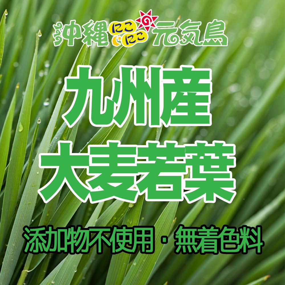 おいしい青汁ゼリー1袋(10ｇ×14包入り)  リンゴ味 乳酸菌配合【国産野菜使用】