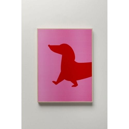 56303 Framed Picture Dog Frankie Face 30x40cm