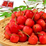 ��ƣ�� Ϫ�Ϻ��� �������� ��1kg L��2L������ �������� ���� �����ʲ̼¤�ȴ����̣���ܾ�ǰ�Ƥ��ܤΥե롼��
