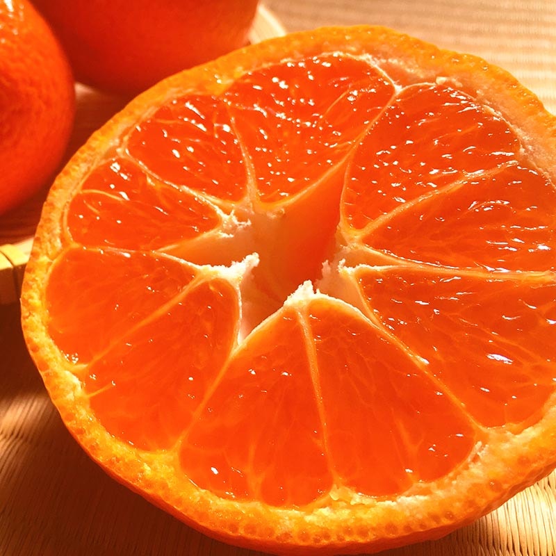 �����ߤ��� �������� ��1.2kg 9��15�� ���θ��� £������ ����Ȣ���� �����󥵡����� �������ȾޤǺ�ͥ���ޤ�̪�����ϡ����եȺ�Ŭ���ϰ�֥��ɤβ����ߥ���