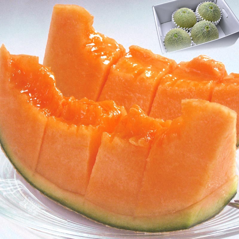 ����ľ�� �������� �������� ��5��6kg 3��6�� �������� �������� ���⺽�֤ǰ�Ƥ���������̣�������󥷡�������濴