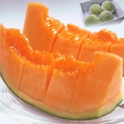 ����ľ�� �������� �������� ��5��6kg 3��6�� �������� �������� ���⺽�֤ǰ�Ƥ���������̣�������󥷡�������濴