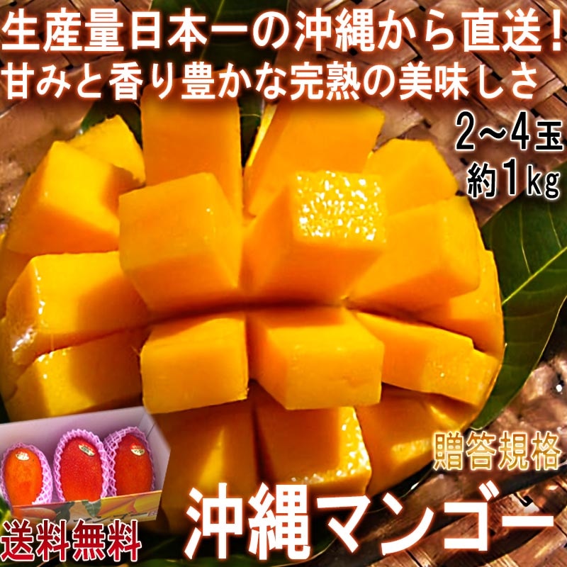 ����ľ�� ����ޥ󥴡� ��1kg 2��4�� ���츩�� £������ �Ŀ����Ȼ� ������������ȴ����̣�����ܰ�νв��̤�ؤ��ܾ����̣����