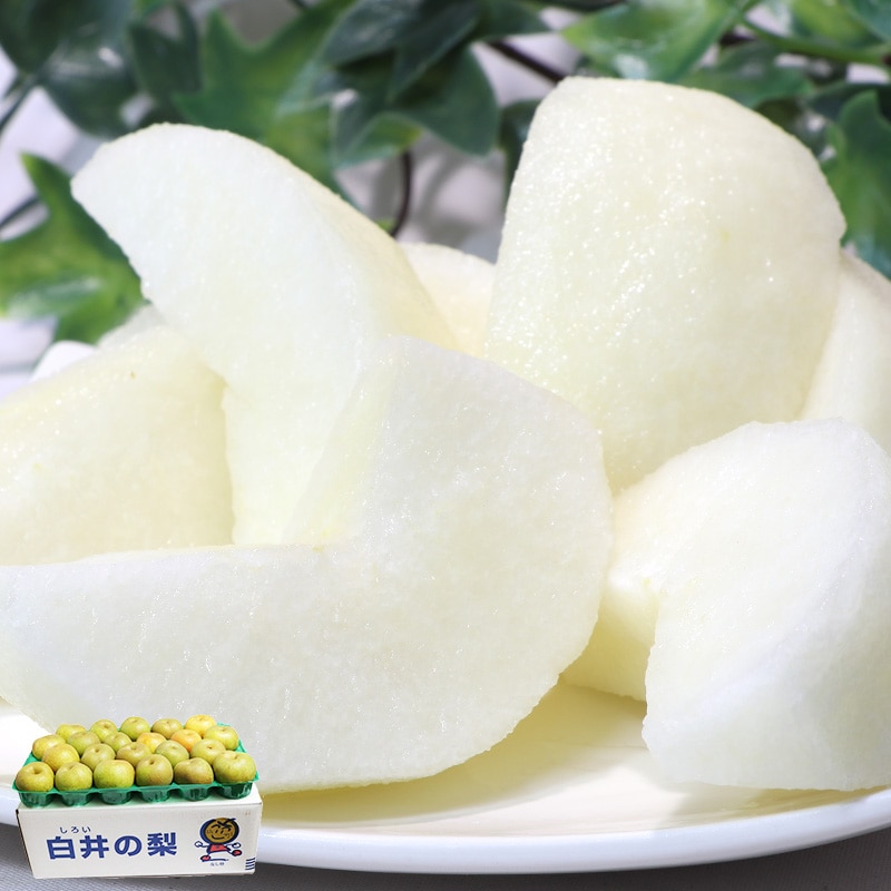 ������ ���塦˭�塦�����Ť������� ��10kg 14��28�� �������� ��̸��� �ʤ��νв��������̤����ո�������桦���������Ϥ�Ȥ����������Ϥο����ʥʥ���