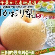 �������� ��5kg 5��10�� ��̥����� ���ʡ�ͥ�� ���ո��� £����ǽ �����̤ξ��ʤ����������֤䤫�ʴŤ�����ͥ����̣�襤